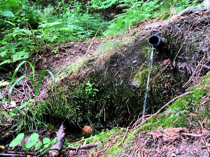 studánka bez jména (10926) - srpen 2016