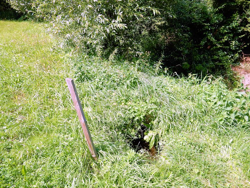 studánka U cesty (10932) - srpen 2016