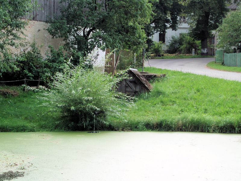 Strměšská studánka (10939) - srpen 2016