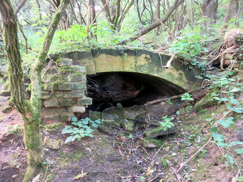 studánka Žerka (10950) - srpen 2016
