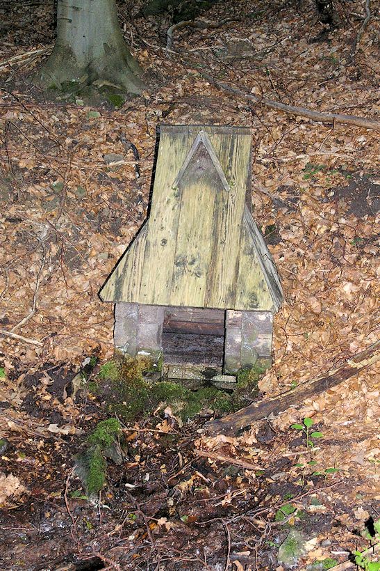 studánka U Bukového potoka (10955) - srpen 2016