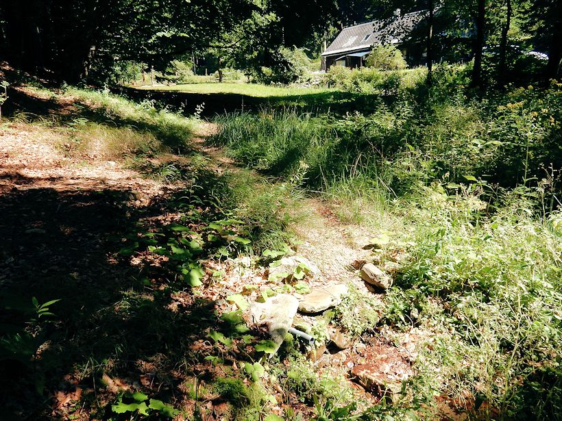 studánka Pod hájenkou (10958) - září 2016