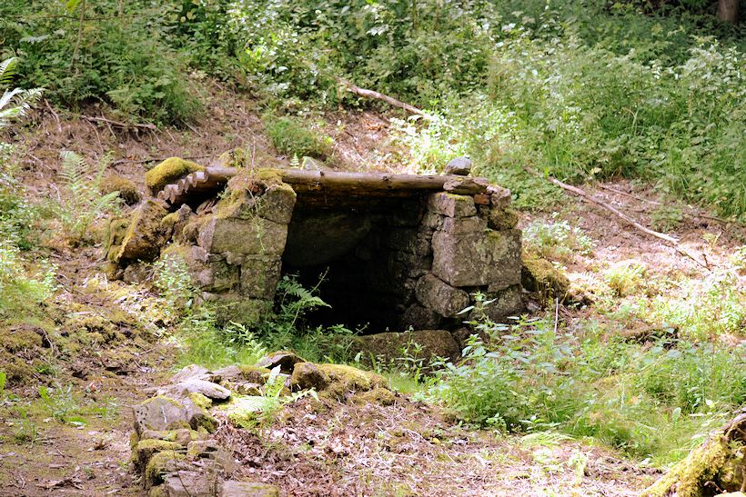 studánka bez jména (10997) - září 2016