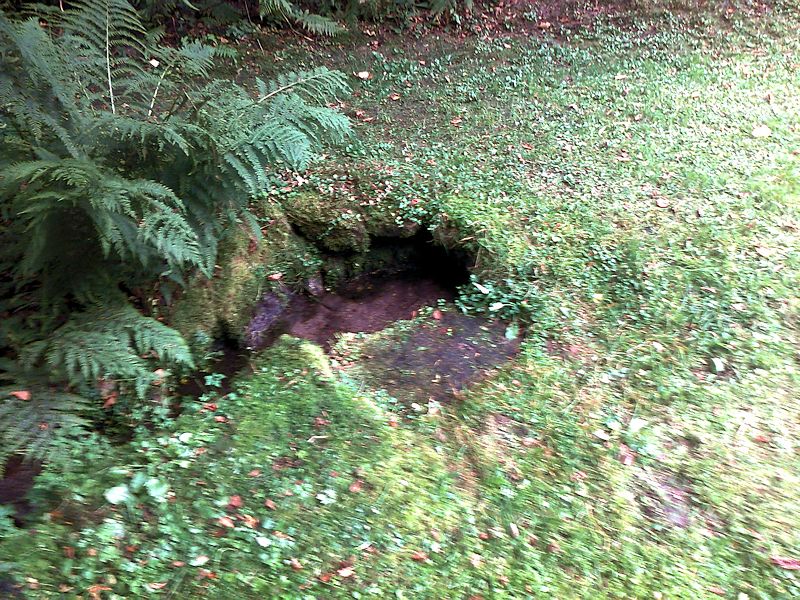 studánka U Říčky (11010) - září 2016