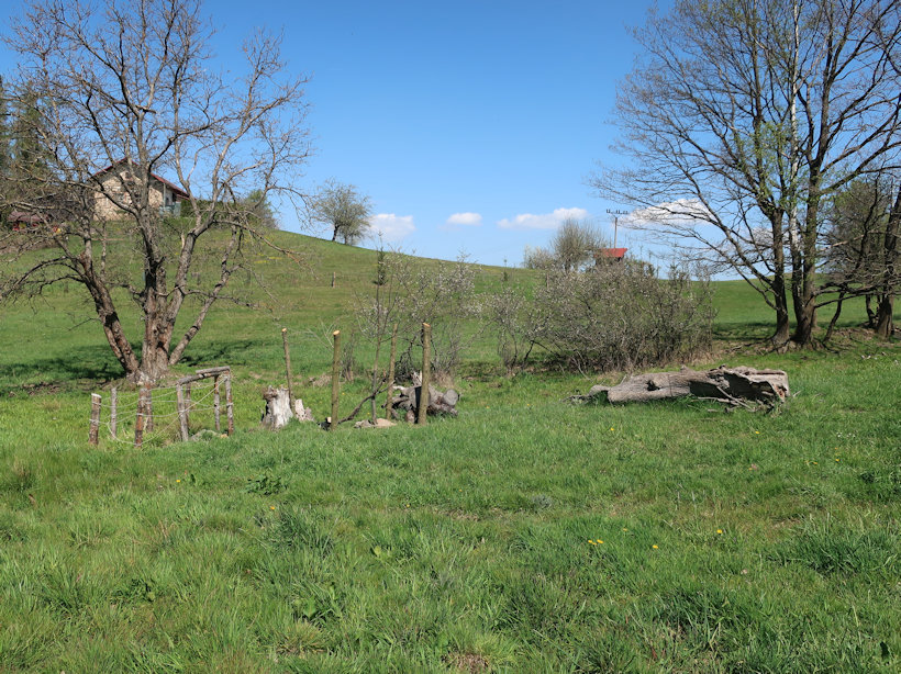 studánka U Muniu (11032) - duben 2019