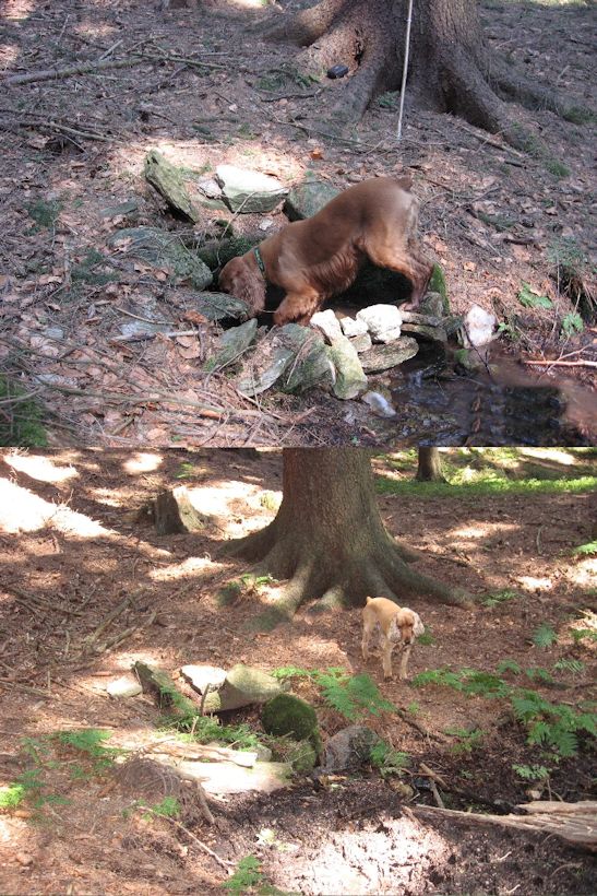 studánka Pod Vestcem (11034) - říjen 2016