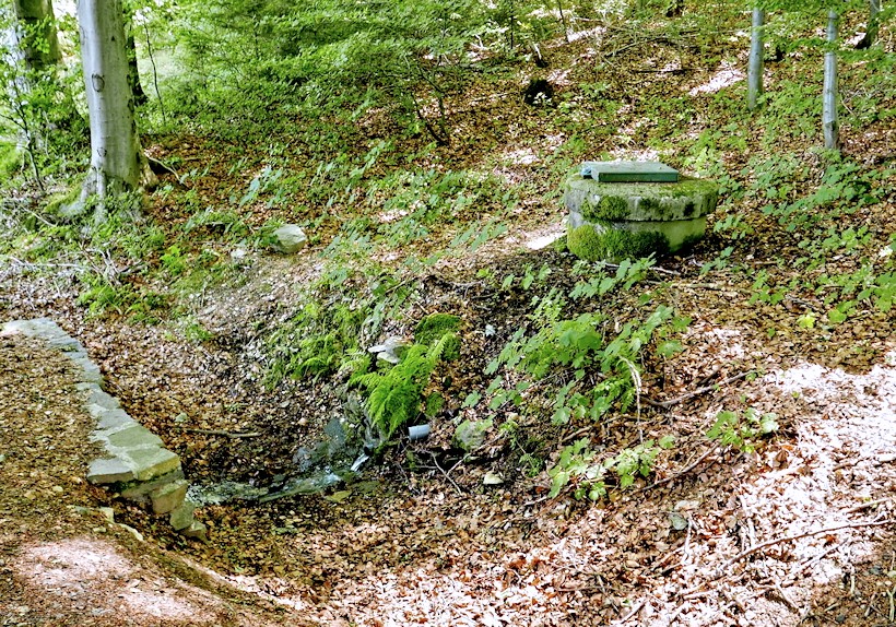 studánka U Řachvaje (11036) - říjen 2016