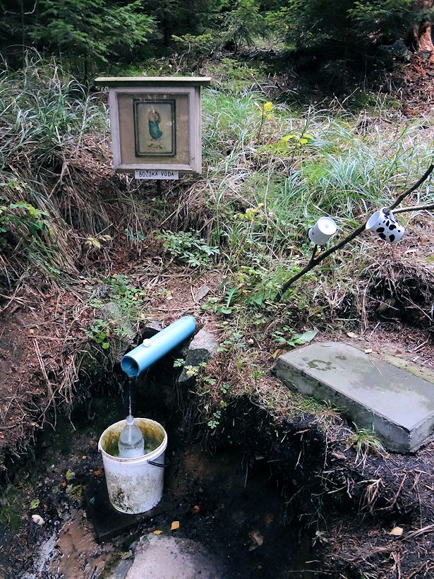 studánka U Svídnického mostku (11042) - říjen 2016