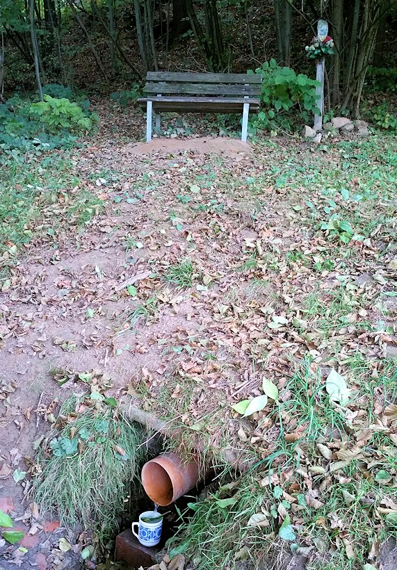 studánka Pod Kocůrákem (11043) - říjen 2016