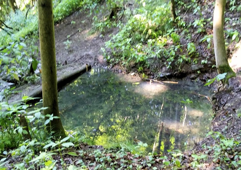 studánka bez jména (11050) - říjen 2016