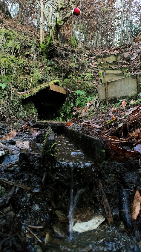 Erinina studánka (11051) - leden 2023