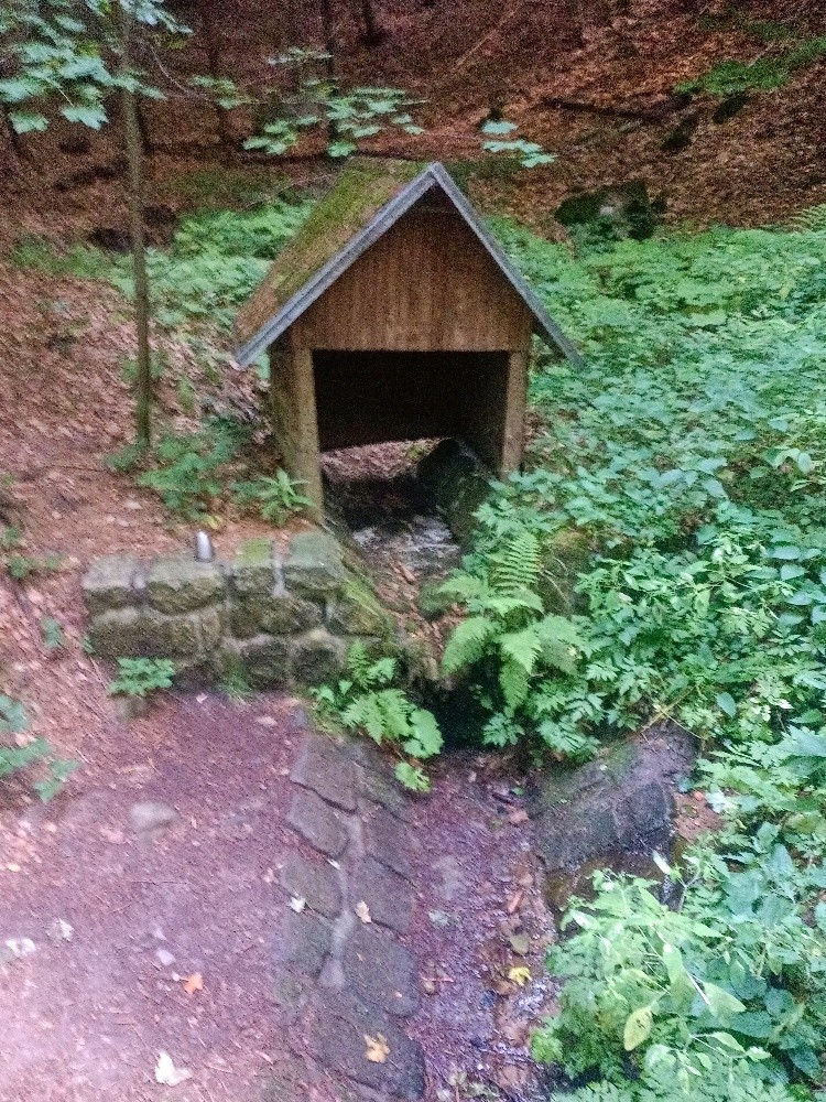 studánka U Zabitého (11054) - srpen 2025