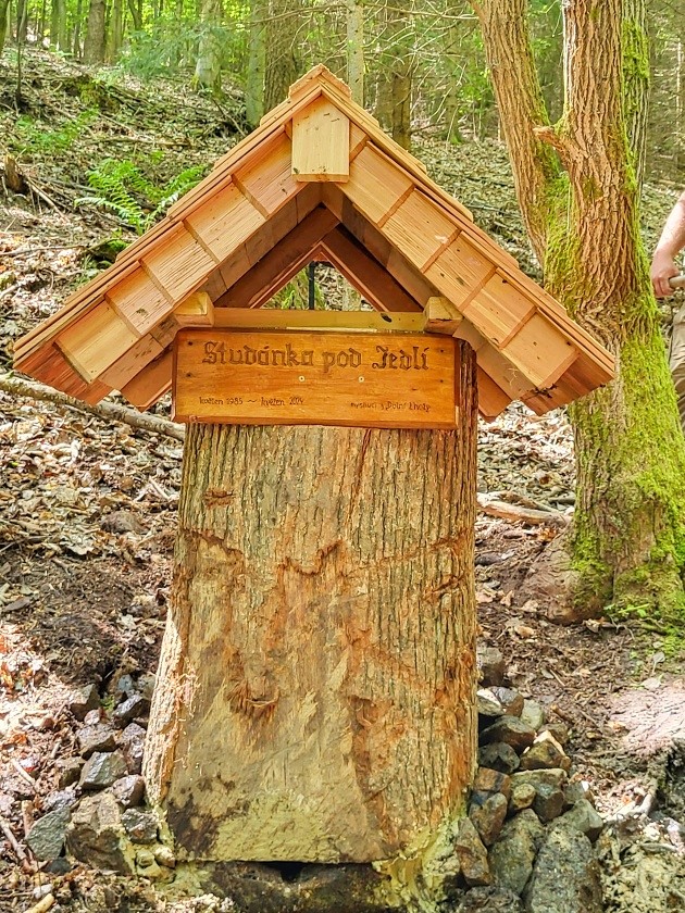 studánka Pod Jedlí (11058) - květen 2024