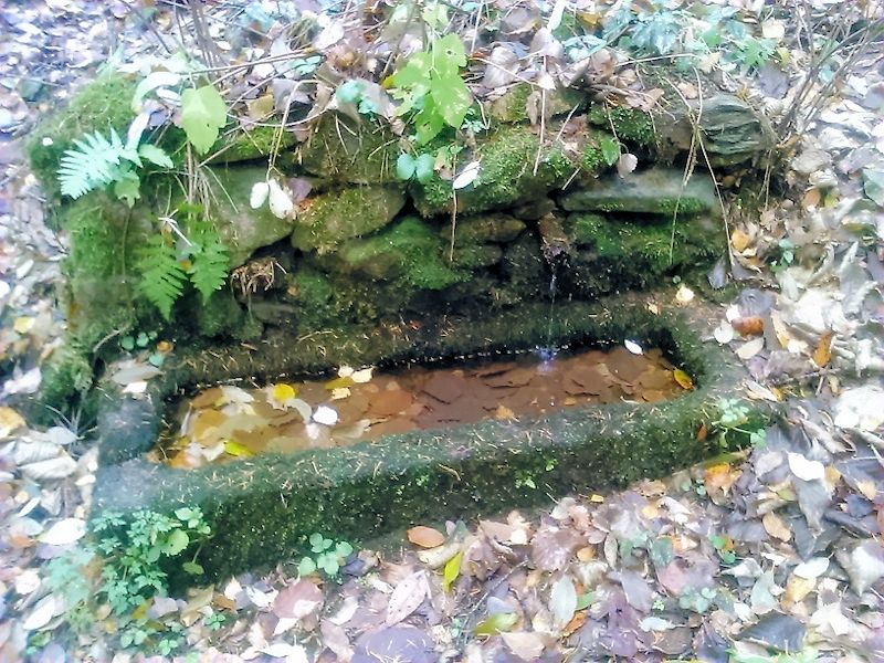 studánka bez jména (11066) - listopad 2016
