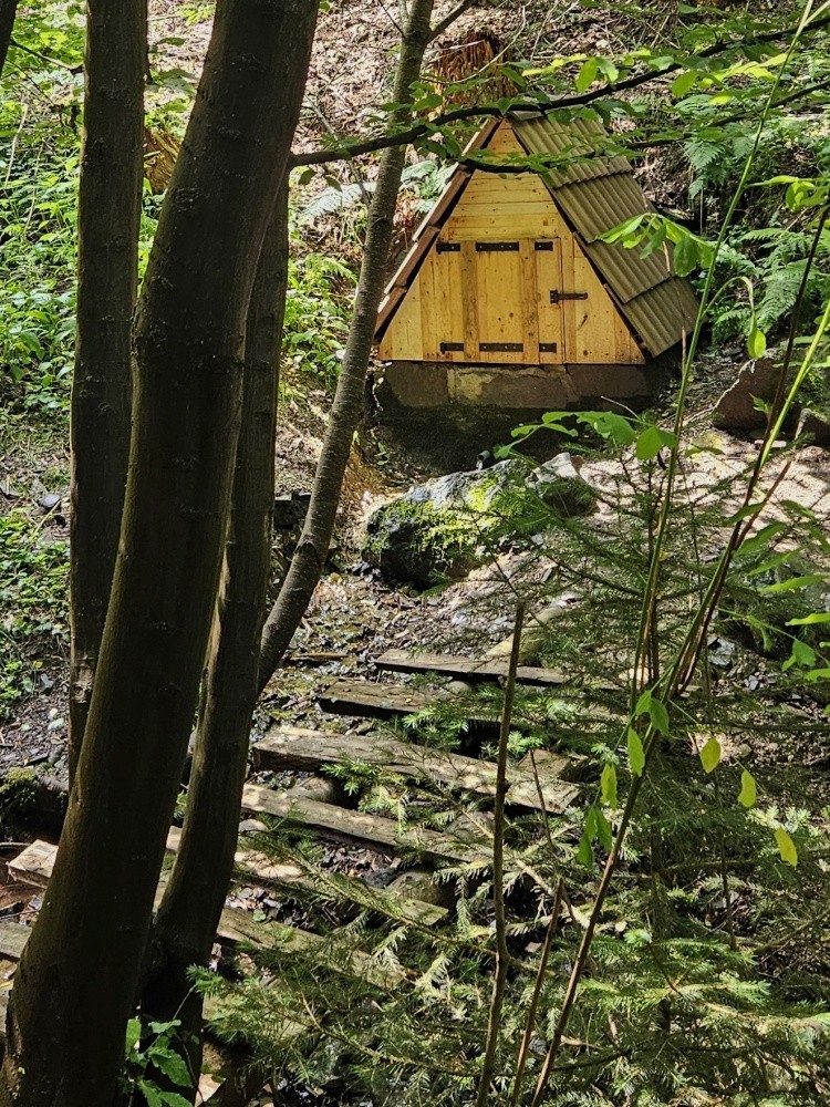 studánka U Chalupecké strouhy (11073) - červen 2024