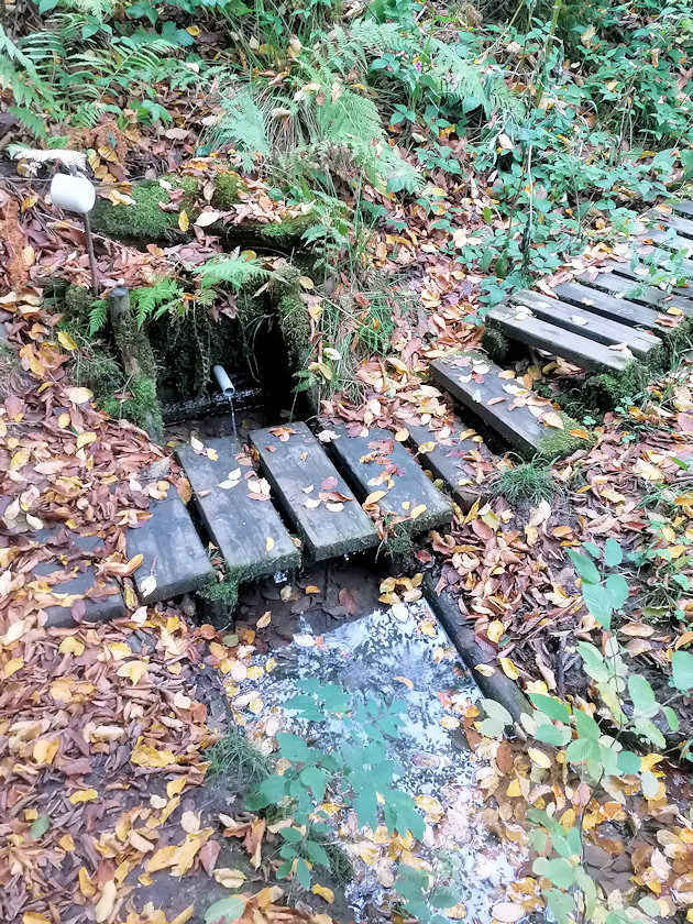 Karlova studánka (11092) - říjen 2021