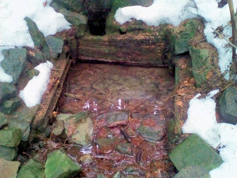 studánka bez jména (11129) - únor 2017
