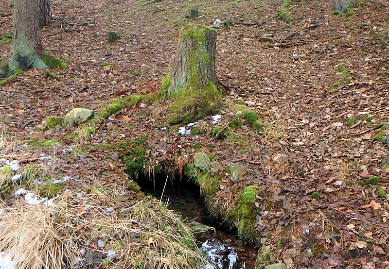 studánka V Mamušíně (11133) - únor 2017