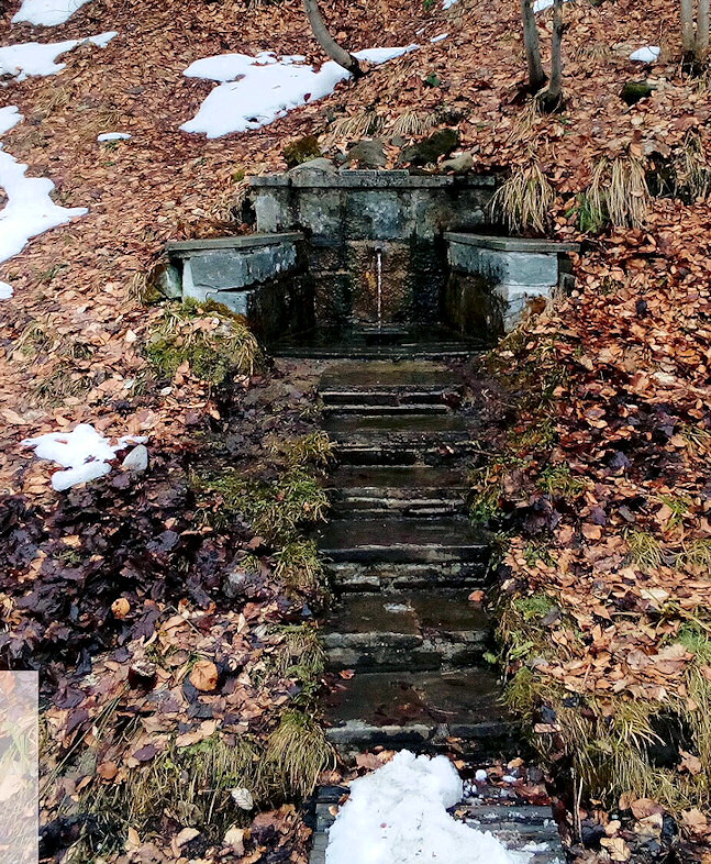 studánka Na Přelači (11135) - únor 2017