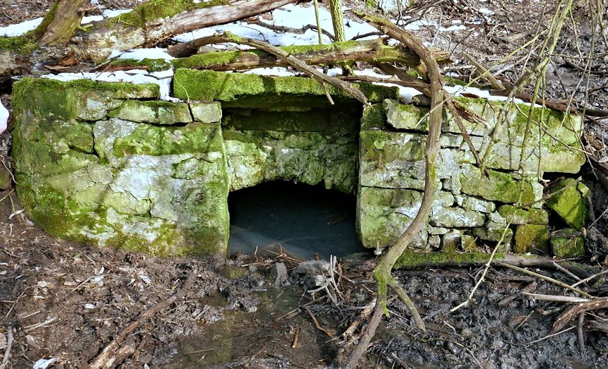 studánka Vitínská (11136) - únor 2017