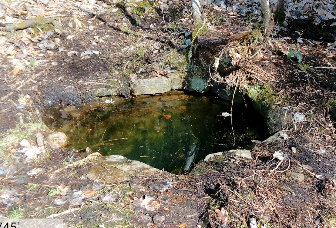 studánka Na Závrší (11147) - březen 2017