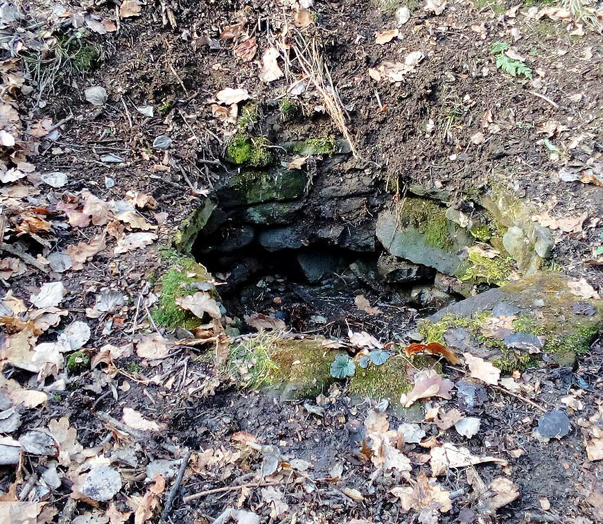 studánka Na konci světa (11150) - březen 2017