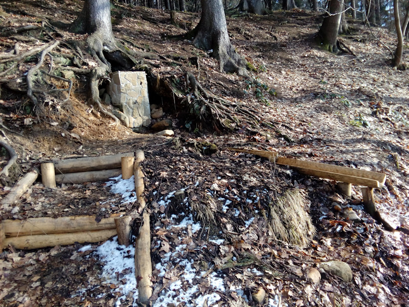 studánka V městském lese (11152) - únor 2019