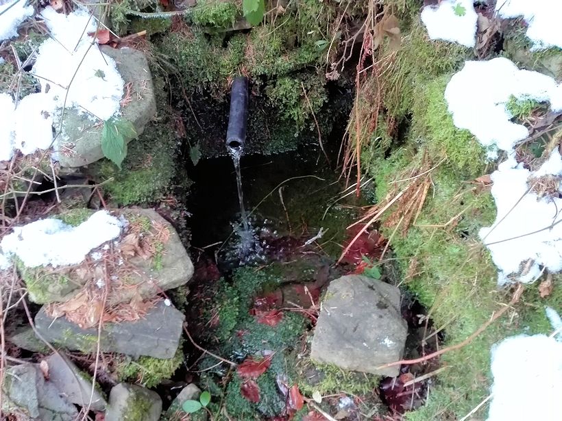studánka V Jasení (11156) - březen 2017