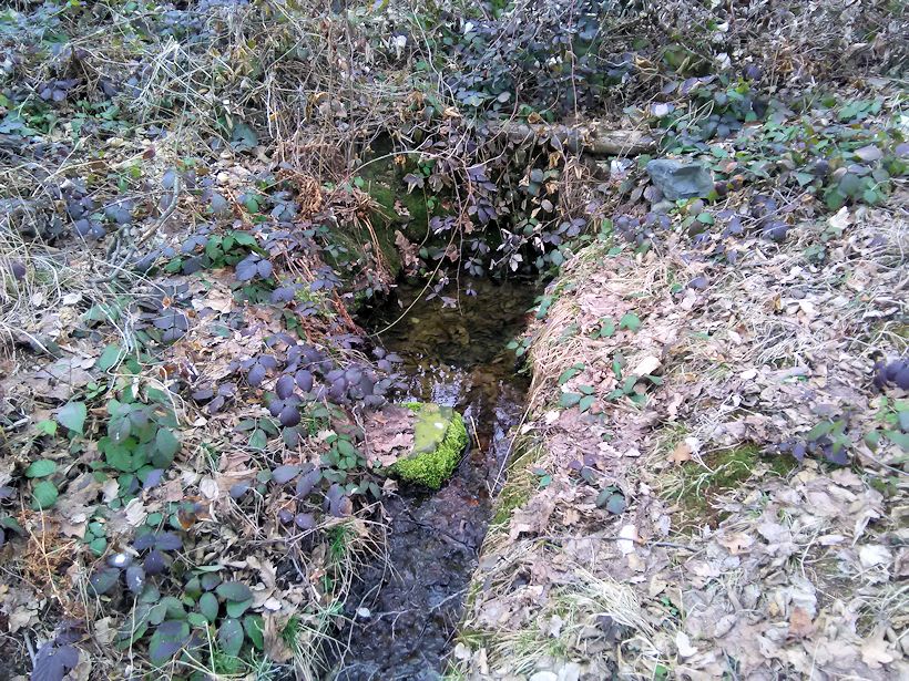 Včelí studánka (11159) - březen 2017
