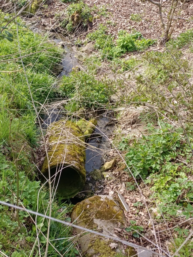 studánka V podhůří (11172) - květen 2023