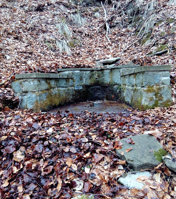 studánka Kantořanka (11180) - březen 2017
