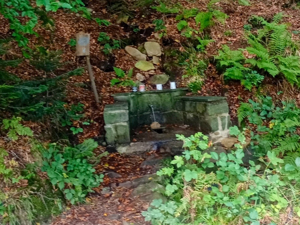 studánka Na Prašivé (11188) - září 2025