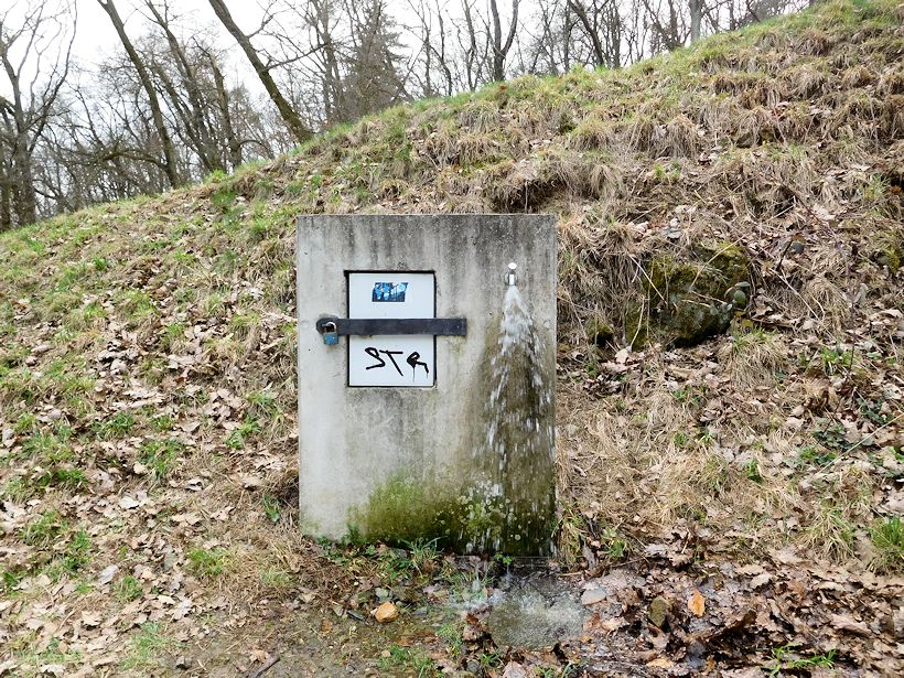 vrt bez jména (11190) - březen 2017