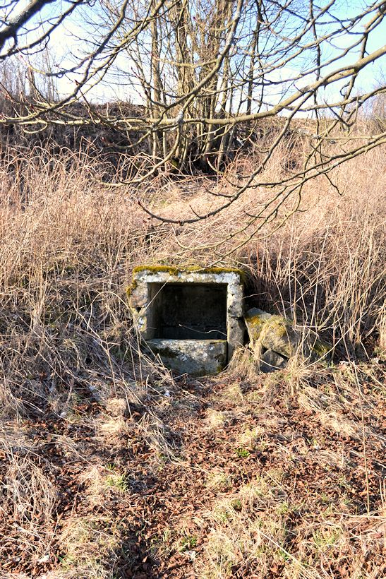 studánka U hřbitova (11203) - březen 2017
