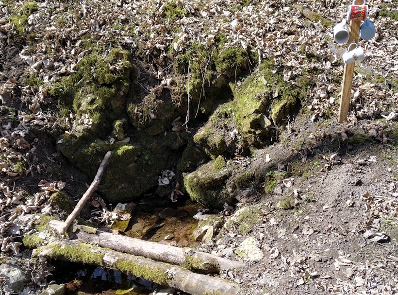 Tovaryšská studánka (11206) - březen 2017