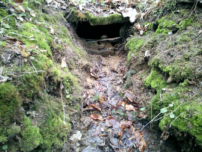 studánka Brusná (11226) - duben 2017