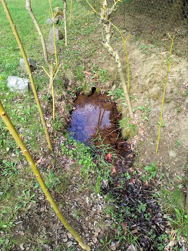 Vrbová studánka (11230) - duben 2017