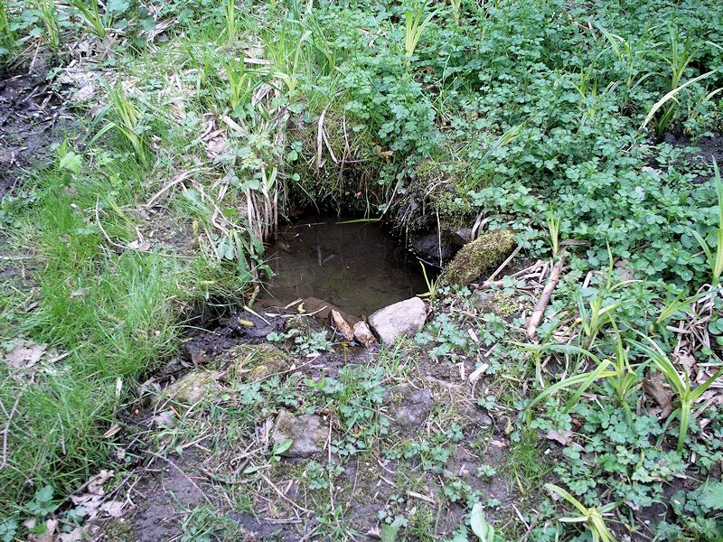 studánka bez jména (11260) - květen 2017