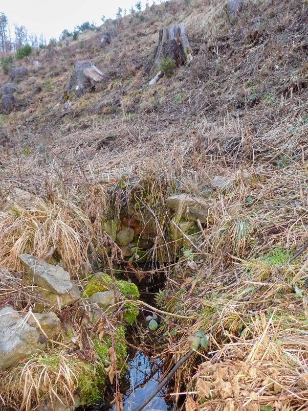 studánka Martálka (11273) - leden 2024