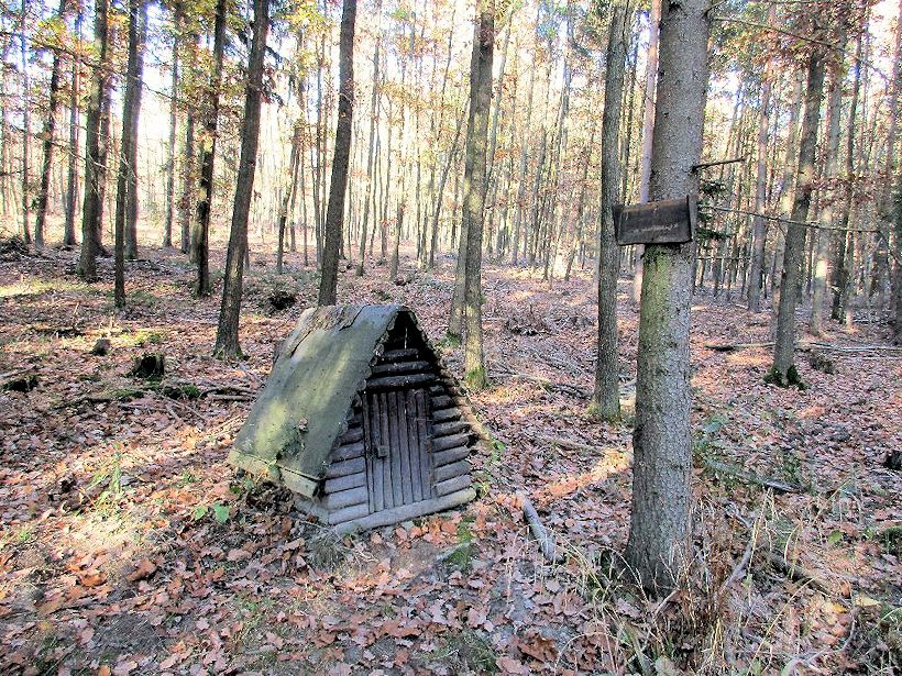 studánka bez jména (11283) - květen 2017