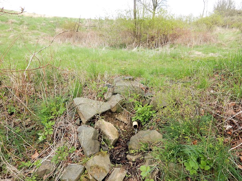 studánka U Skalského dvora (11296) - květen 2017
