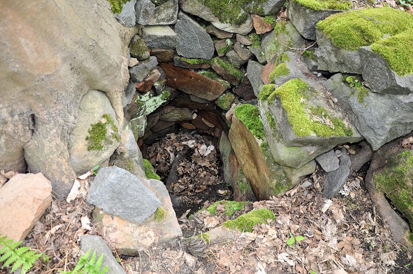 studánka Zapomenutá (11301) - květen 2017