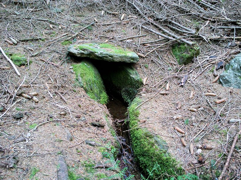 studánka Jelení skok (11312) - květen 2017