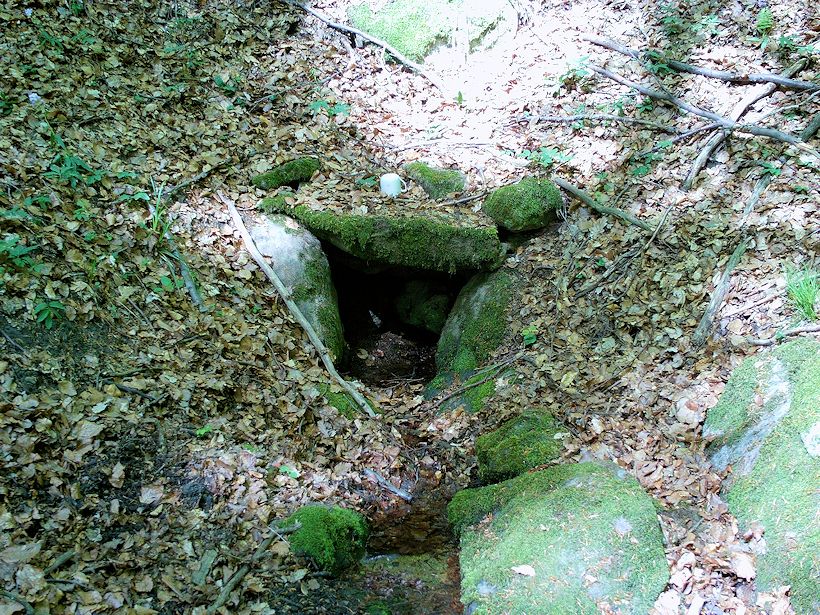 studánka bez jména (11321) - květen 2017