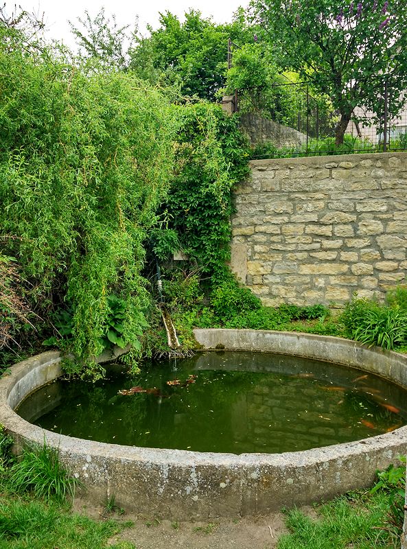jiný vodní zdroj Máchadlo u sv. Václava (11328) - květen 2017