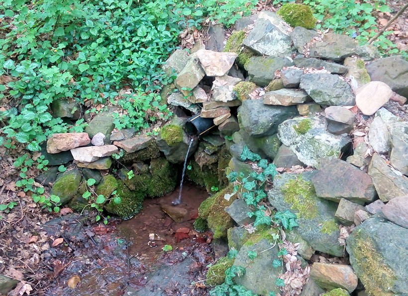 studánka Nad farmou I (11337) - květen 2017