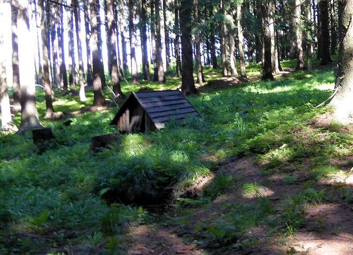 studánka Čistý (11350) - květen 2017