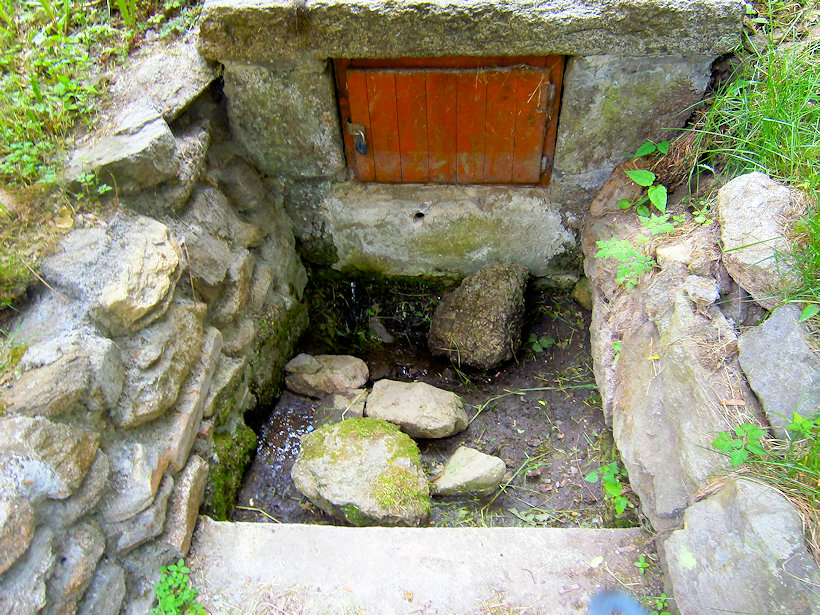studánka bez jména (11378) - červen 2019
