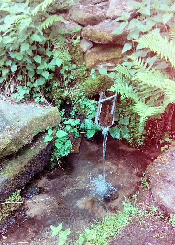 studánka Pod Jasanem (11389) - červen 2017