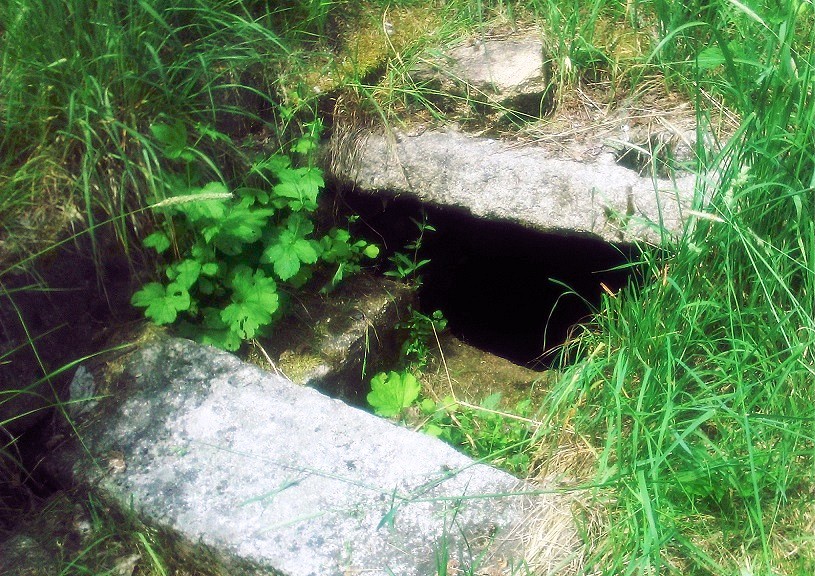 studánka Hutě (11399) - červen 2017